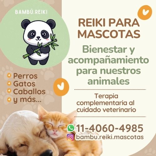 Bambu Reiki - Reiki para mascotas