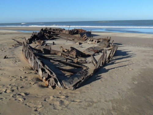 Adriana Pisani: &ldquo;La investigaci&oacute;n me apasiona, es un mundo donde te sumerg&iacute;s y te olvid&aacute;s de todo&rdquo;