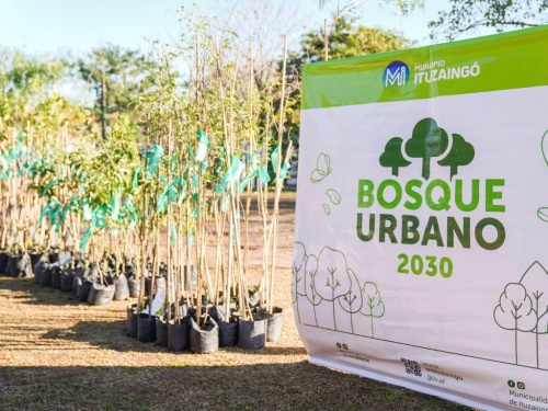 Pulmón verde de la zona oeste: canjearon reciclables por arbolitos